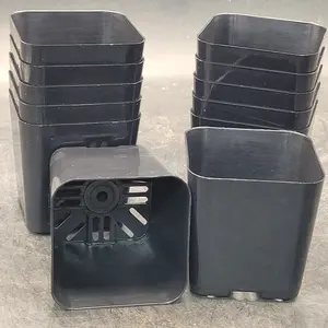 Set of 10 - 2 Inch Black Planting Pots with Unique Design Features for Your Gardening Needs