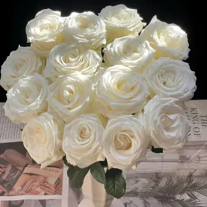 200 Pcs White Rose Seeds – Elegant Fragrant Flowers for Garden, Balcony & Home Decoration