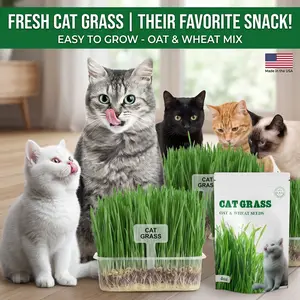 Organic Cat Grass Seeds Kit for Indoor & Outdoor Cats – Non-GMO Heirloom Wheat & Oat Seeds, Fast-Growing, 99% Germination, Hairball Control & Digestion, Hydroponic-Friendly Planting Pack