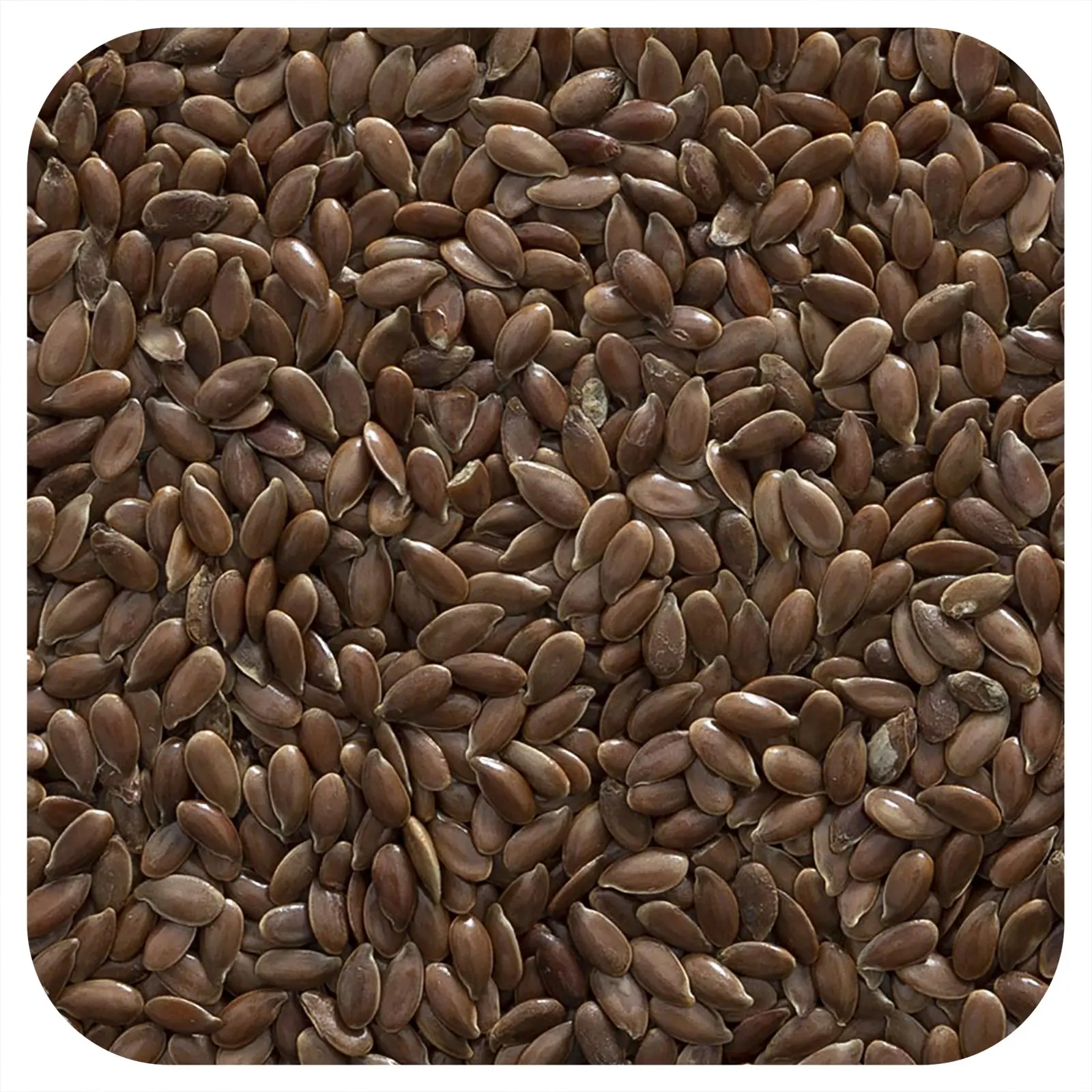 Frontier Co-op Organic Whole Flax Seed, 16 oz (453 g)