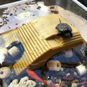 1pc Turtle basking platform climbing platform turtle basking back aquarium to avoid plastic climbing floating island multi-functional pet supplies