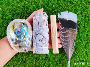 White Sage Smudge Kit Mini w/ Detailed Instructions, Abalone Shell, Palo Santo and Feather, Sage Smudge Energy Cleansing Kit "F"
