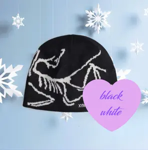 You're preparing for a trip. The Arc’teryx Skull Cap Beanie – Y2K Gorpcore style  hat | Soft and stylish knitted hat for men and women will be the best choice.