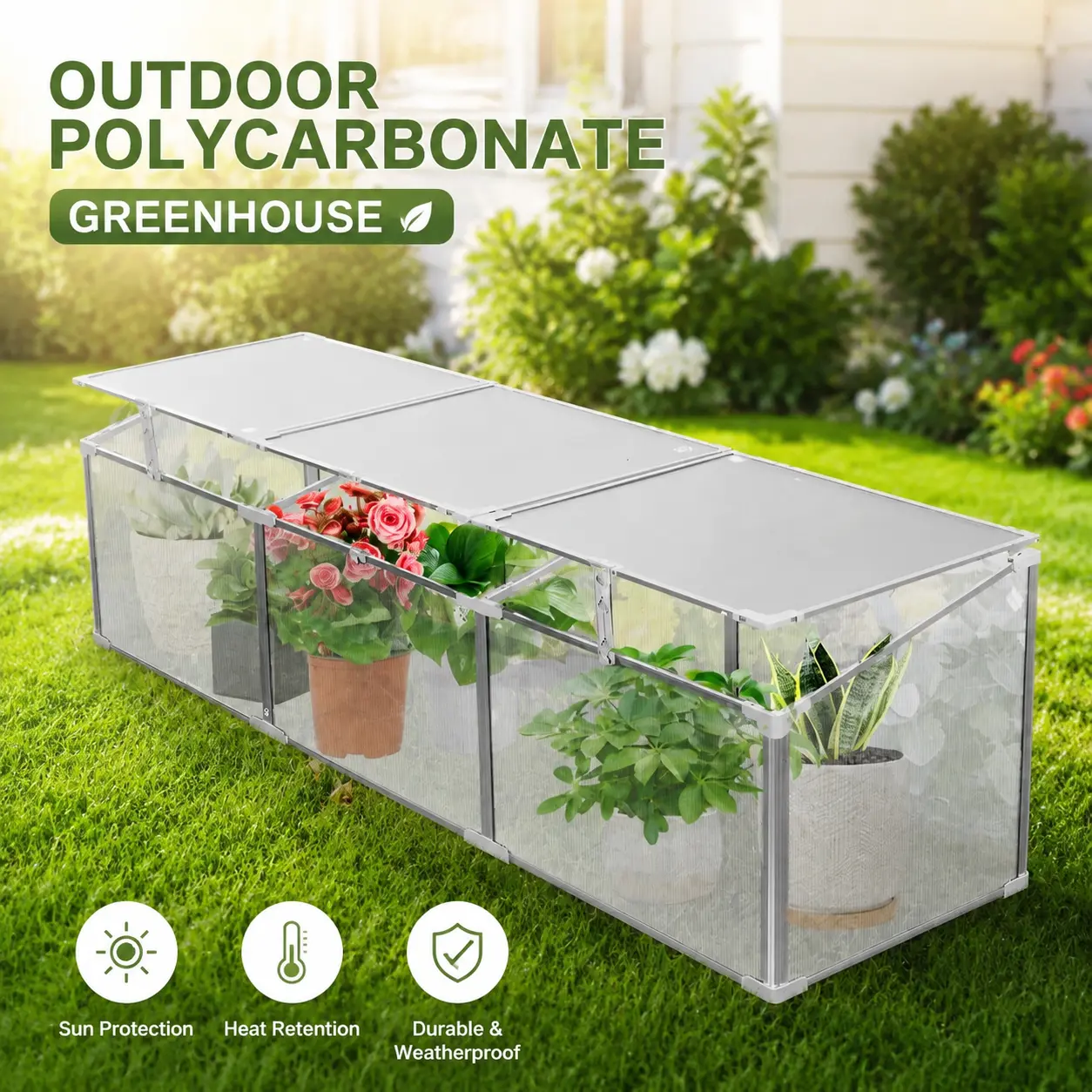 littleox Polycarbonate Greenhouse for Outdoors in Winter