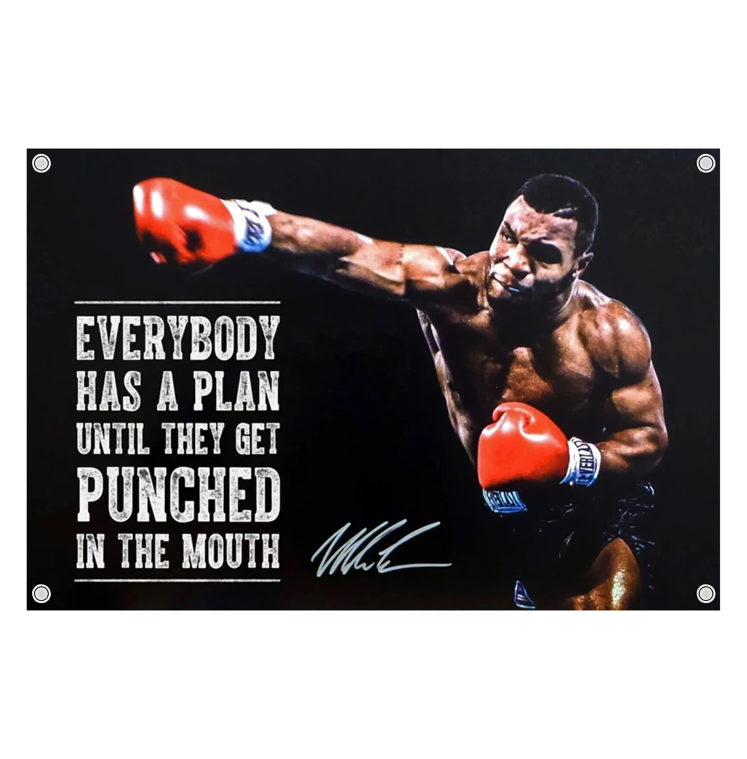 Mike Tyson Everyone Has Plan Quote Boxing Flag, Retro Boxer Wall Banner, Fight Night Combat Sports Decor, Boxing Fan Gift for Men Women, Polyester Wall Hanging Room Decor