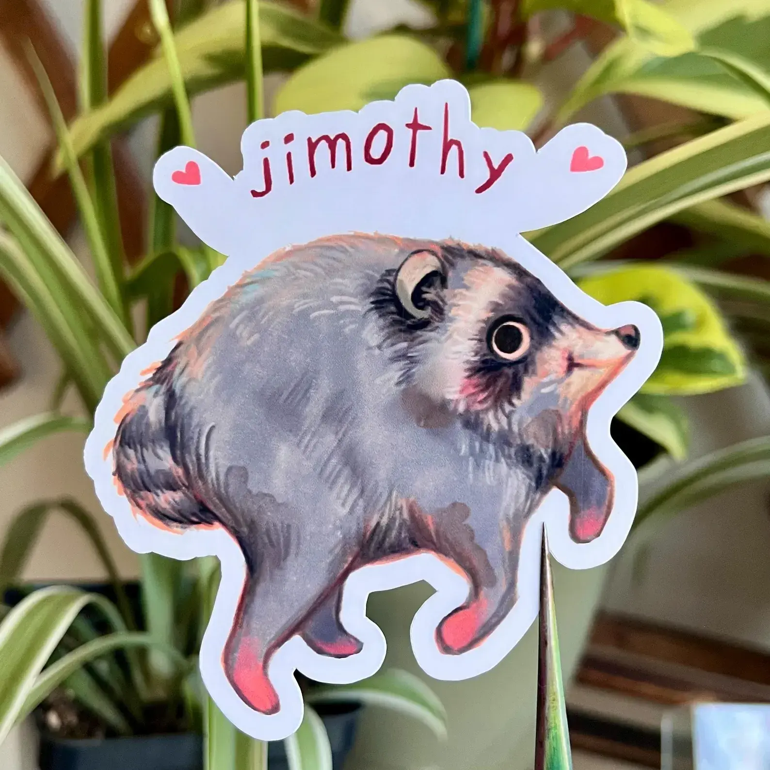 Jimothy Raccoon Vinyl Water Resistant Sticker Style 3 | Cottagecore Raccoon Decal