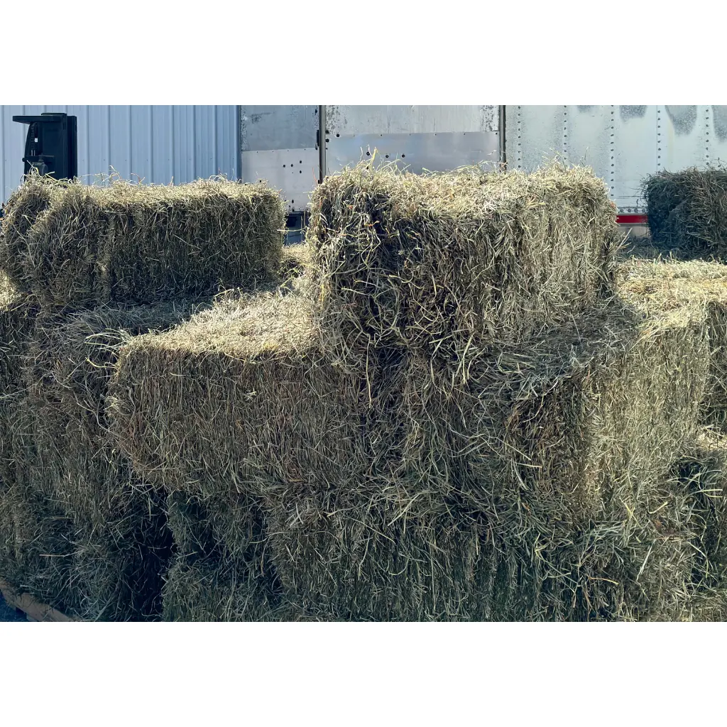 Hay Bales
