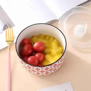 Ceramic 5in Food Storage Bowl with Lid, High-Quality Sealed Container, Insulated 600ML Dishwasher Safe, Perfect for Home Use & Festivals, Bowl Set