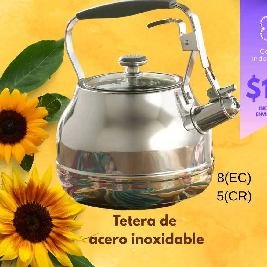 tetera de acero inoxidable tetera de acero inoxidable