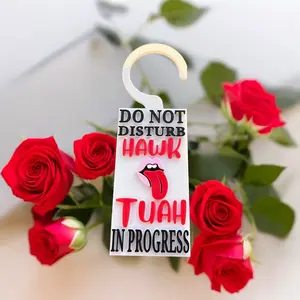 Hawk Tuah Do Not Disturb Sign