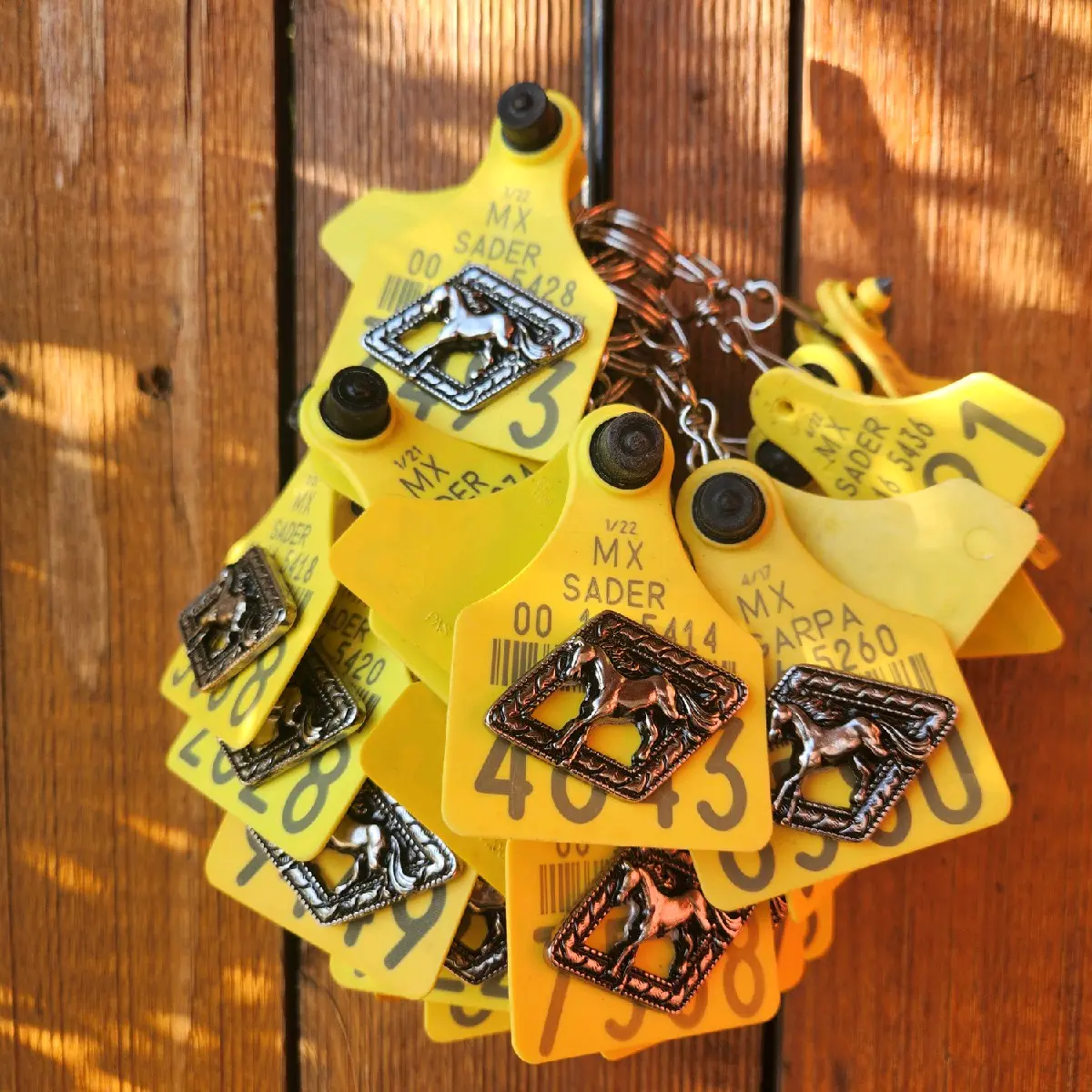 Horse Cattle Tag Keychains | Llaveros de aretes de vaca