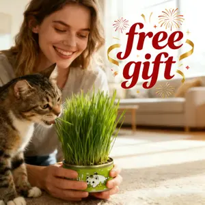 Organic Cat Grass Seeds Pack  Non-GMO Heirloom Cat Grass Seeds for Indoor & Outdoor Cats  100% Organic Cat Grass Seeds - Cat Grass for Indoor Cats - (Non GMO) cat grass seeds Suitable for Indoor Cats - Planting Kit with Organic Seed Mix