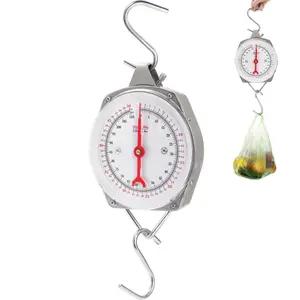 Precision Hanging Scale, 110 LB / 50KG Spring Dial Weight Scale Large  Scale, Heavy Duty Mechanical Kitchen Weighing  Scale for Market, Feeding, Kitchen