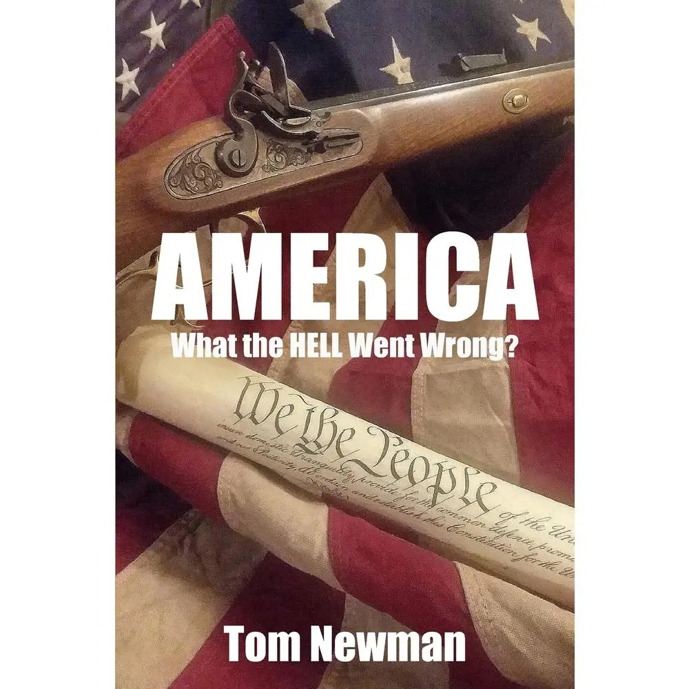 USED-America: What the Hell Went Wrong by Newman, Tom (Paperback)