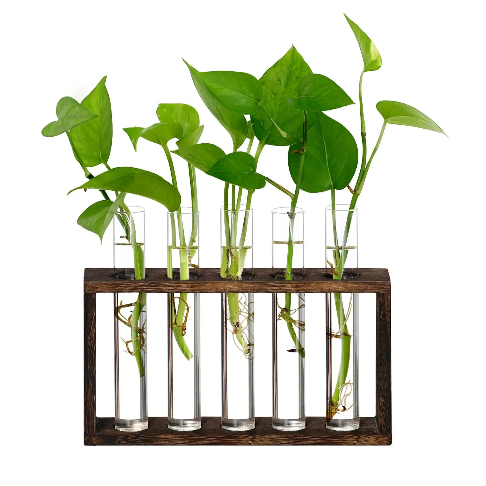 XXXFLOWER 5-Tube Plant Propagation Station - Minimalist Design Stable Natural Wood Stand with Base, Versatile and Practical Test Tube Planter Home Organizer Gift for Plant Enthusiasts
