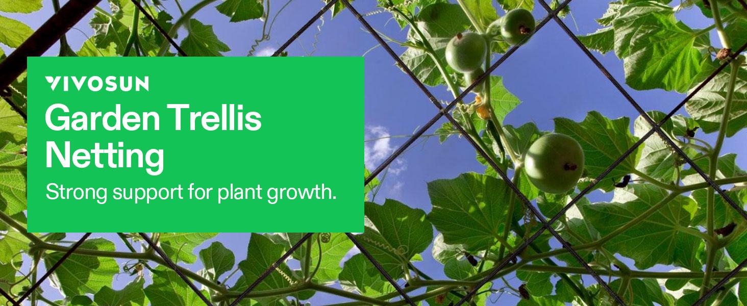 VIVOSUN Elastic Trellis Netting with 4 Hooks for Climbing Plants, Vegetables, Fruits, and Flowers, 1-Pack VIVOSUN Elastic Trellis Netting with 4 Hooks for Climbing Plants, Vegetables, Fruits, and Flowers, 1-Pack