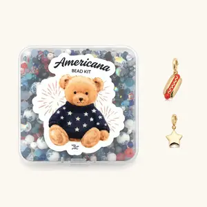 Little Words Project All-American Beads Making Kit Set - Americana Beads, Hot Dog Accent, Puffy Star Accent - Summer DIY Charm Bracelet Set, Beads For Jewelry Making, Diy Mixed Beads