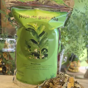 Hoja de guayaba