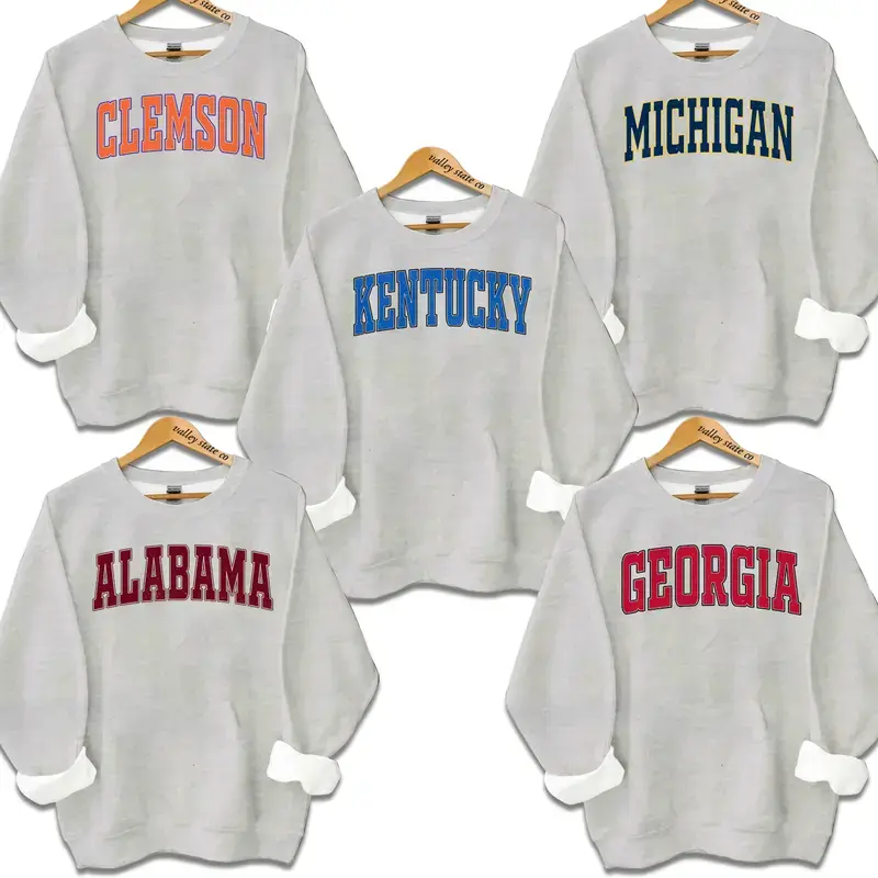 Distressed Varsity College Sweatshirt Sport Grey Crewneck for Men Women, Vintage Athletic Graphic Pullover, Classic Campus Unisex Fleece Apparel