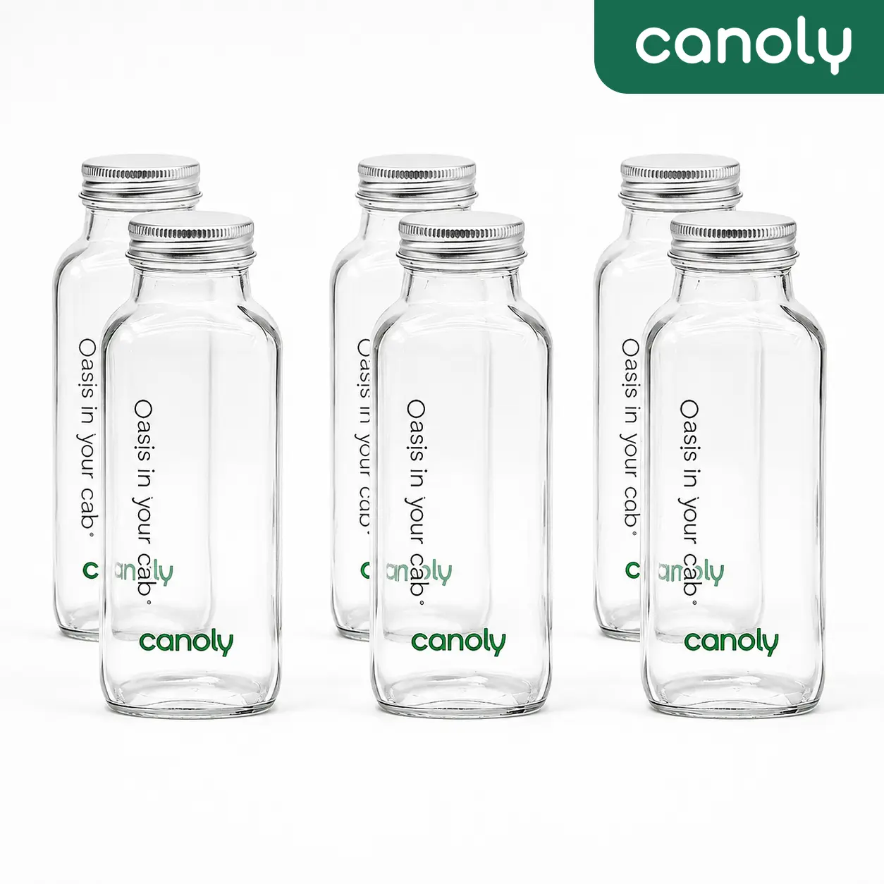 Canoly 6-Pack Transparent Eco-Friendly Empty Refillable Glass Bottles, Reusable Dishwasher Safe Kitchen Juicing Bottles for Meal Prep, Nut Milk Storage & Juice Carry, Empty Refillable Bottle, Juicing Bottles Reusable