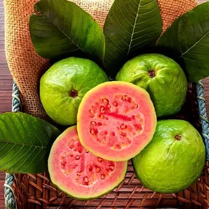 50 Seeds – Pink Guava Seeds for Planting – Suitable for Pots, Greenhouses, and Outdoor Gardens