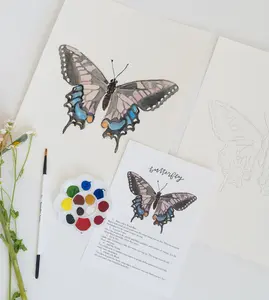 butterfly - watercolor kit