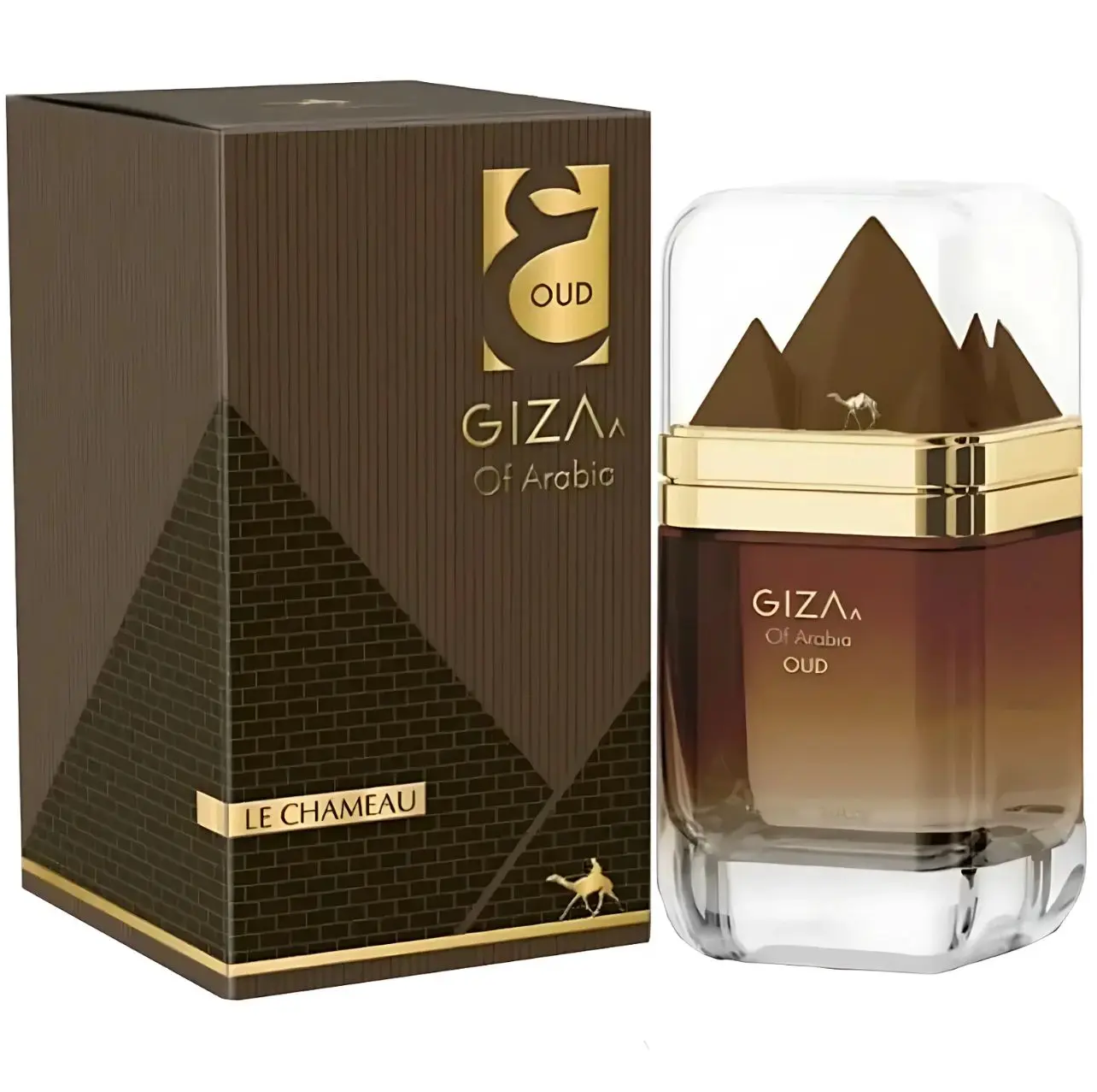 Giza Of Arabia Women's Body