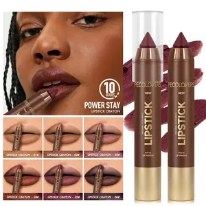 Long Lasting Lip Liner & Lipstick, 2 Counts/set Waterproof Matte Lip Pencil, Easy To Wear Lip Contouring Pen, Cosmetic, Makeup, Matte Lipliner