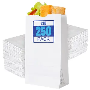 Stock Your Home 2 Lb White Paper Bags (250 Count) - Eco Friendly White Lunch Bags - Small White Paper Bags for Packing Lunch - Blank White Lunch Bags Paper for Arts & Crafts Projects