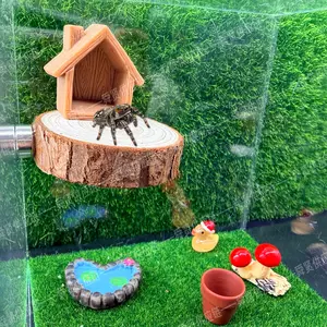 New Cross-Border Wall-Mounted Jumping Spider Hideout| Wooden Round Jumping Platform + Resin Craft - Terrarium Decor Accessories（Acrylic case not included）