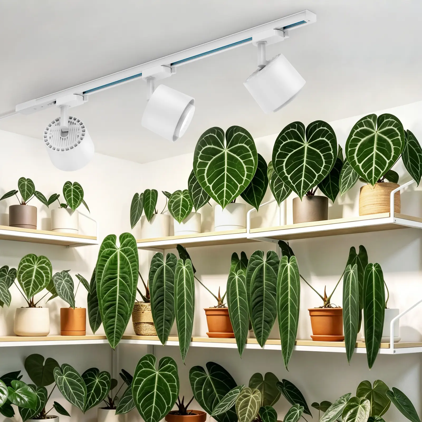 Barrina TR40c 3 x 40W LED Grow Lights 5000K | Full Spectrum, Ceiling Track & Timer | TR40c