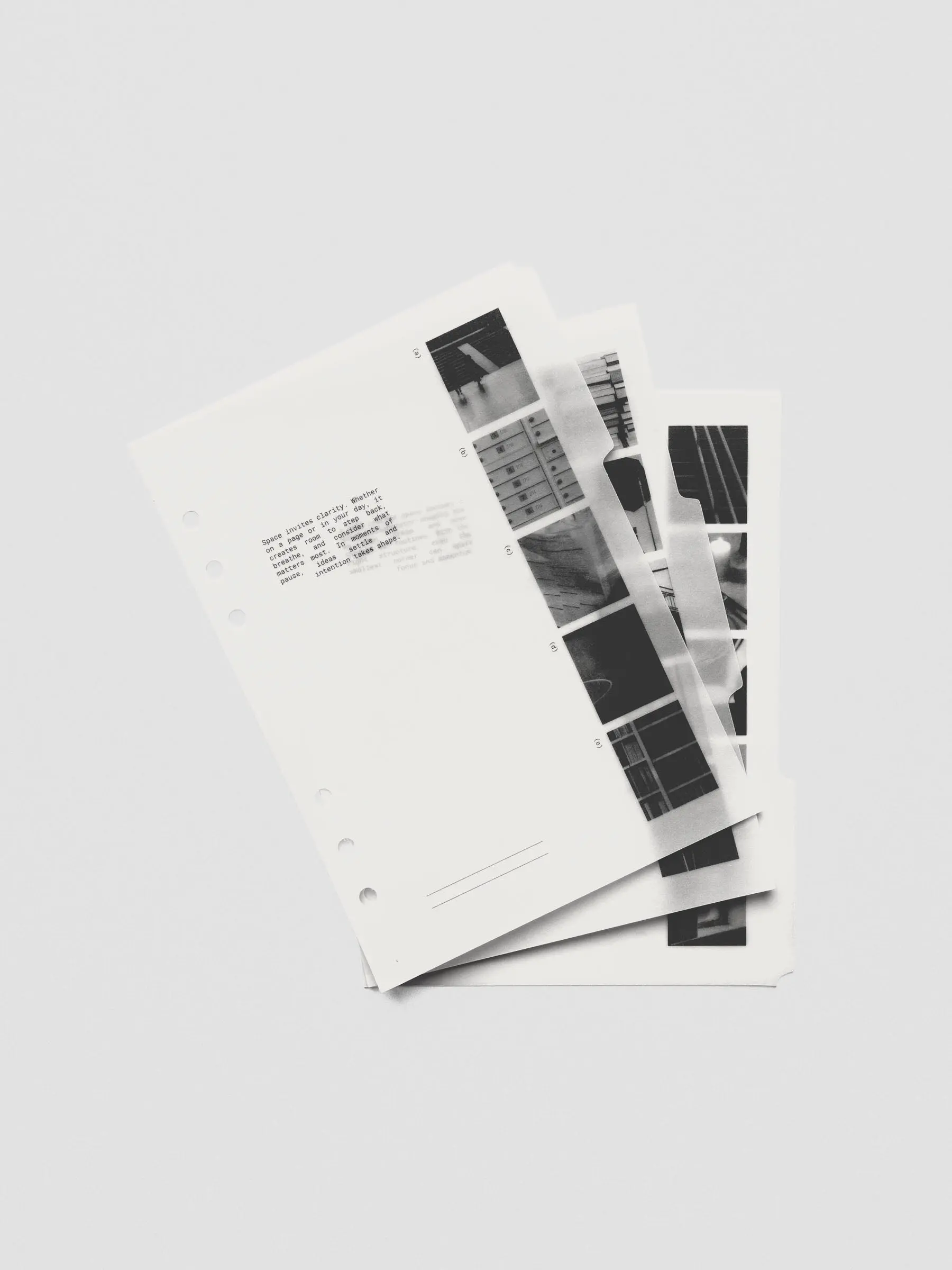 Cloth & Paper Editorial Vellum Dividers Vol 2 Translucent Vellum Finish with Side Imagery and Writable Notes for Stationery Office Supplies and Travel Diary Notebook
