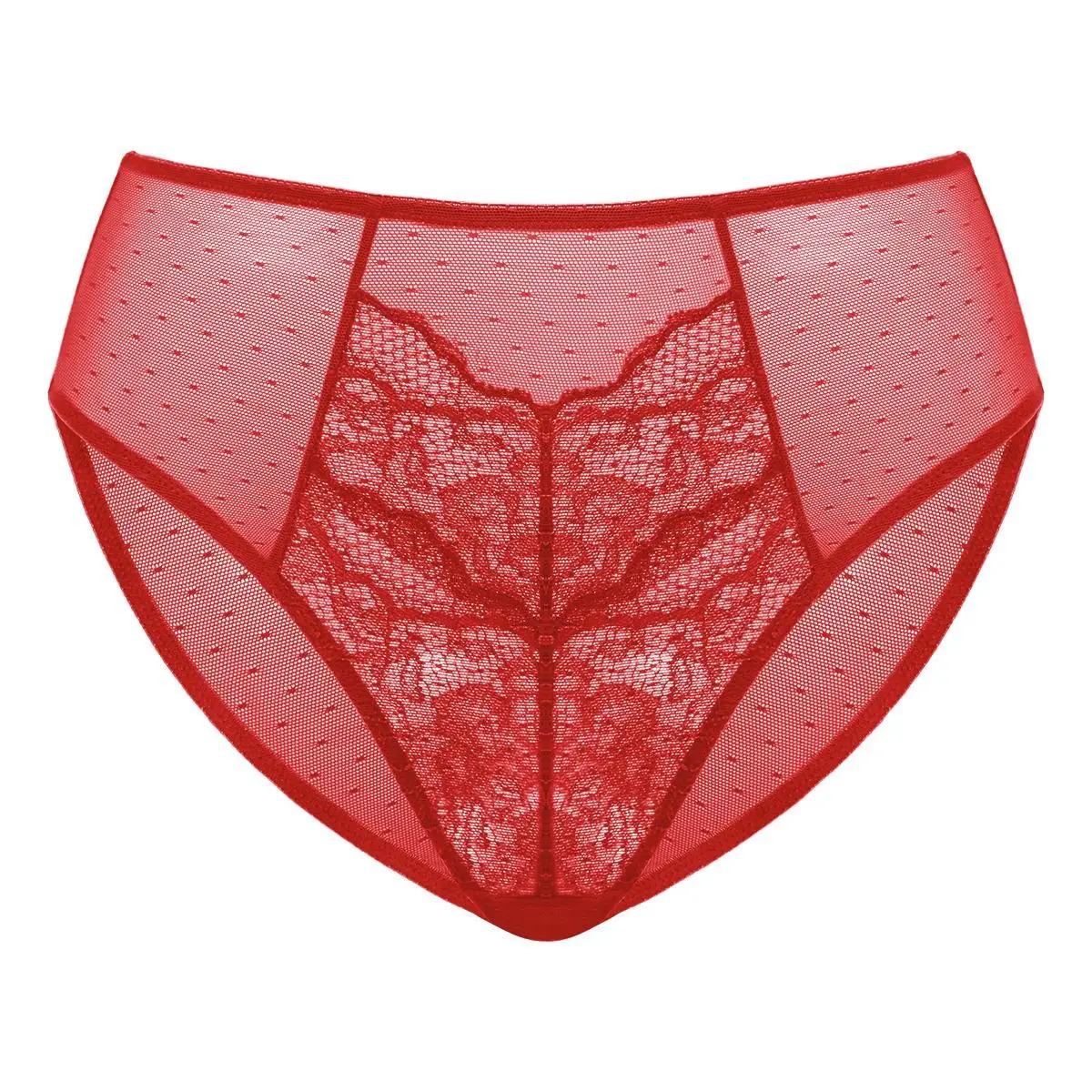 HSIA Enchante Floral Lace Sheer Mesh Back High-Rise Brief Matching Panty Underwear