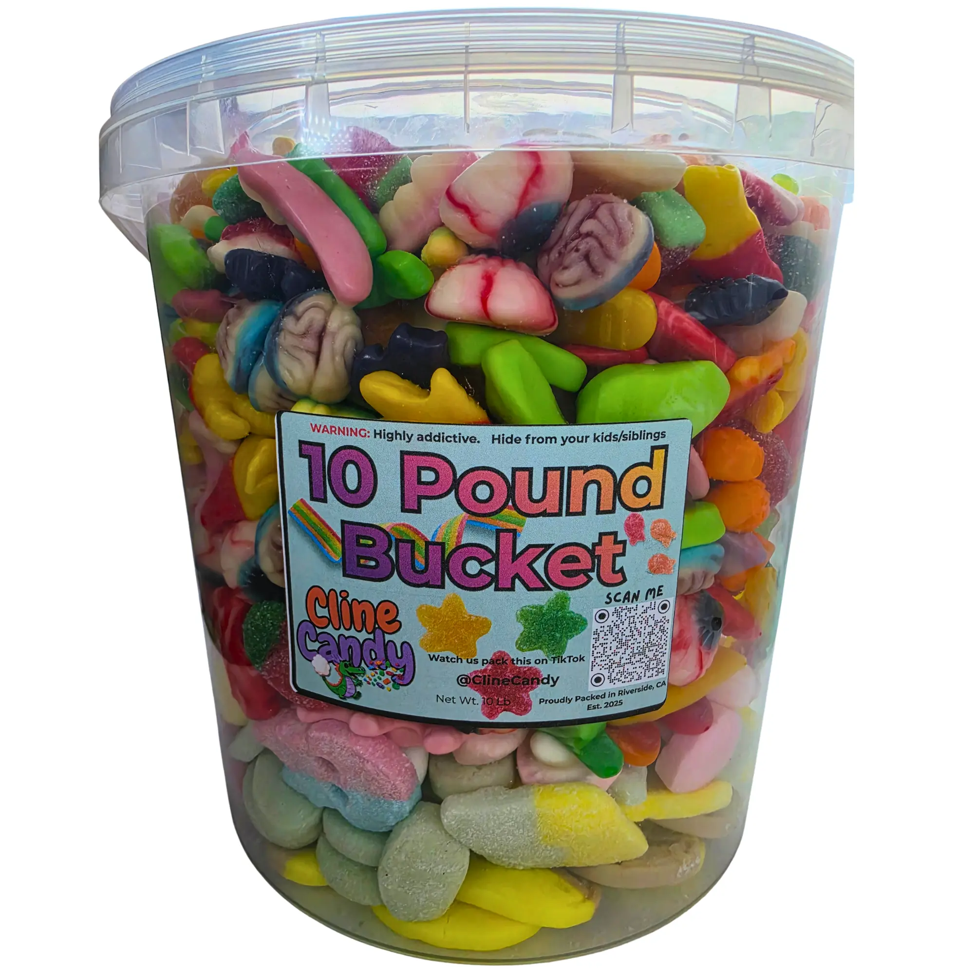 10 lbs Large Chewy Gummy Candy Bucket - Bulk Food, Colored Gummy Fruity Sweets with Whales, Turtles, Natural Colors, Glucose Syrup, Caramel Color, Chlorophylls, Fresh Handpacked, Room Temp, Flavor Explosion, All Ages Party Snacks & Unique Gifts