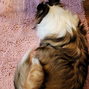 Muddy Mat Original Anti-Mud Mat