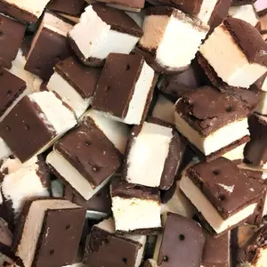 Freeze Dried VANILLA Ice Cream Sandwich Bites - TikTok Viral - Crunchy Ice Cream - Astronaut Candy