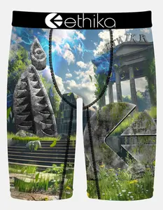 ETHIKA The Greek Staple Mens Boxer Briefs