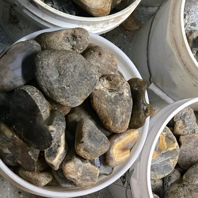 Mid Grade Montana Agates