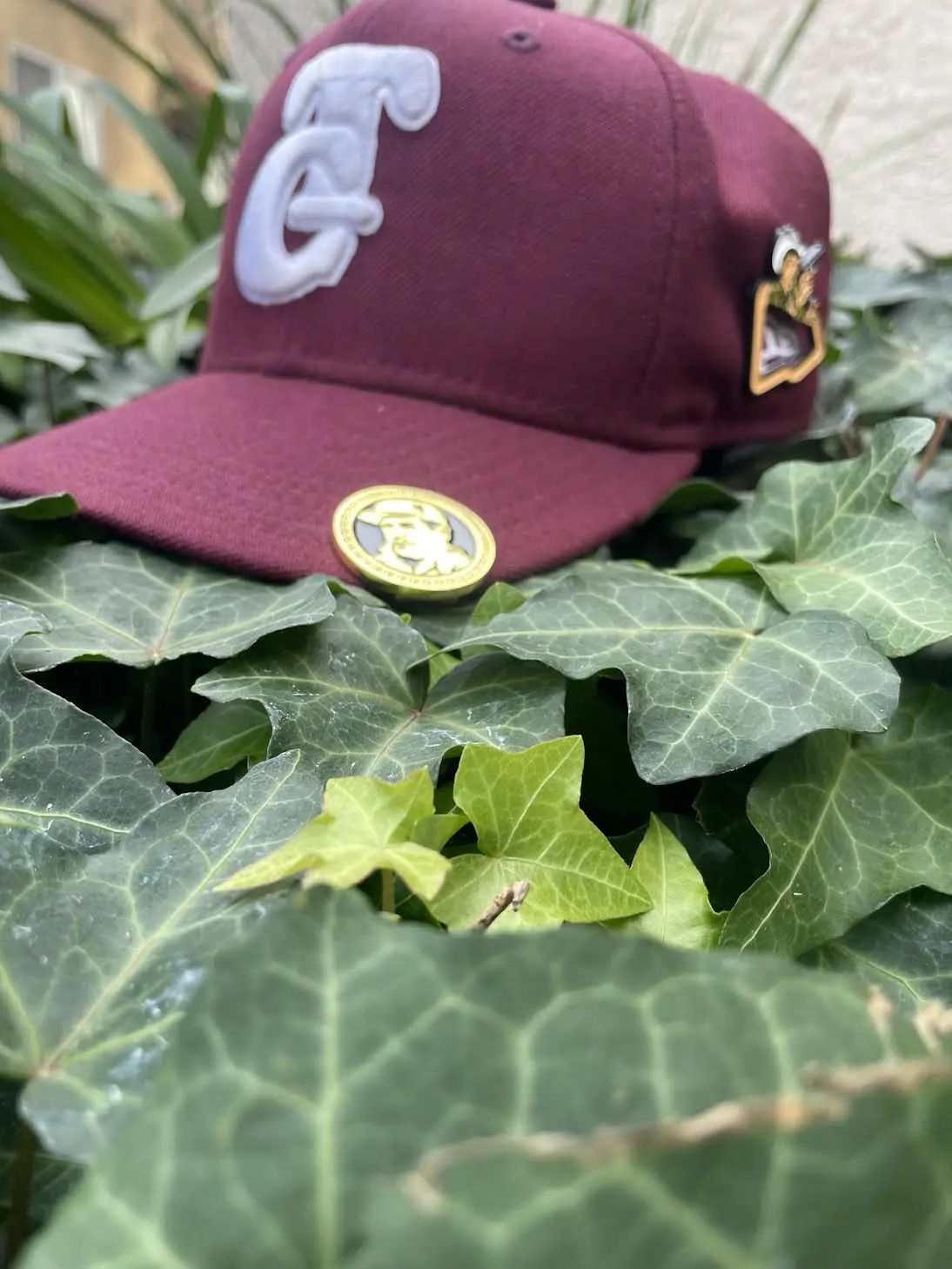 Hat Clip