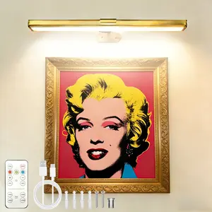 Remote-Controlled, Recgargeable Battery Painting Light Display Lamp for Artwork, Adjustable Lights, Featuring Three-Color Dimming Options, Portable, Cordless, USB Rechargeable, Ideal for Reading, Illuminating Bedroom Pictures, Dimmable Wall Lamp