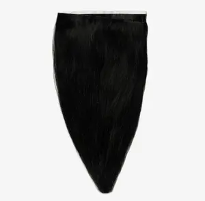 Obsidian Black Invisible Tape-In Extensions