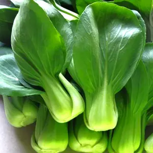 Wa Wa Qing Bok Choy Seeds