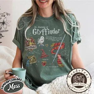 Gryffindor T-Shirt, Vintage Anatomy of Gryffindor Tee, Retro Godric's Sword Top, Sorting Hat and Hedwig Gift, School House Shirt, Everyday Wear, No Fuss Style, Retro Styles, Bring Back the Classics
