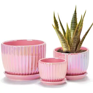 Ton Sin Pink Gold Ceramic Flower Pots, 4"+5"+6" Inch Small Glazed Succulent Planters with Drainage Hole,Modern Indoor Decorative Plant Pots Set of 3,Garden Pots with Saucer supplies arch fabric clip