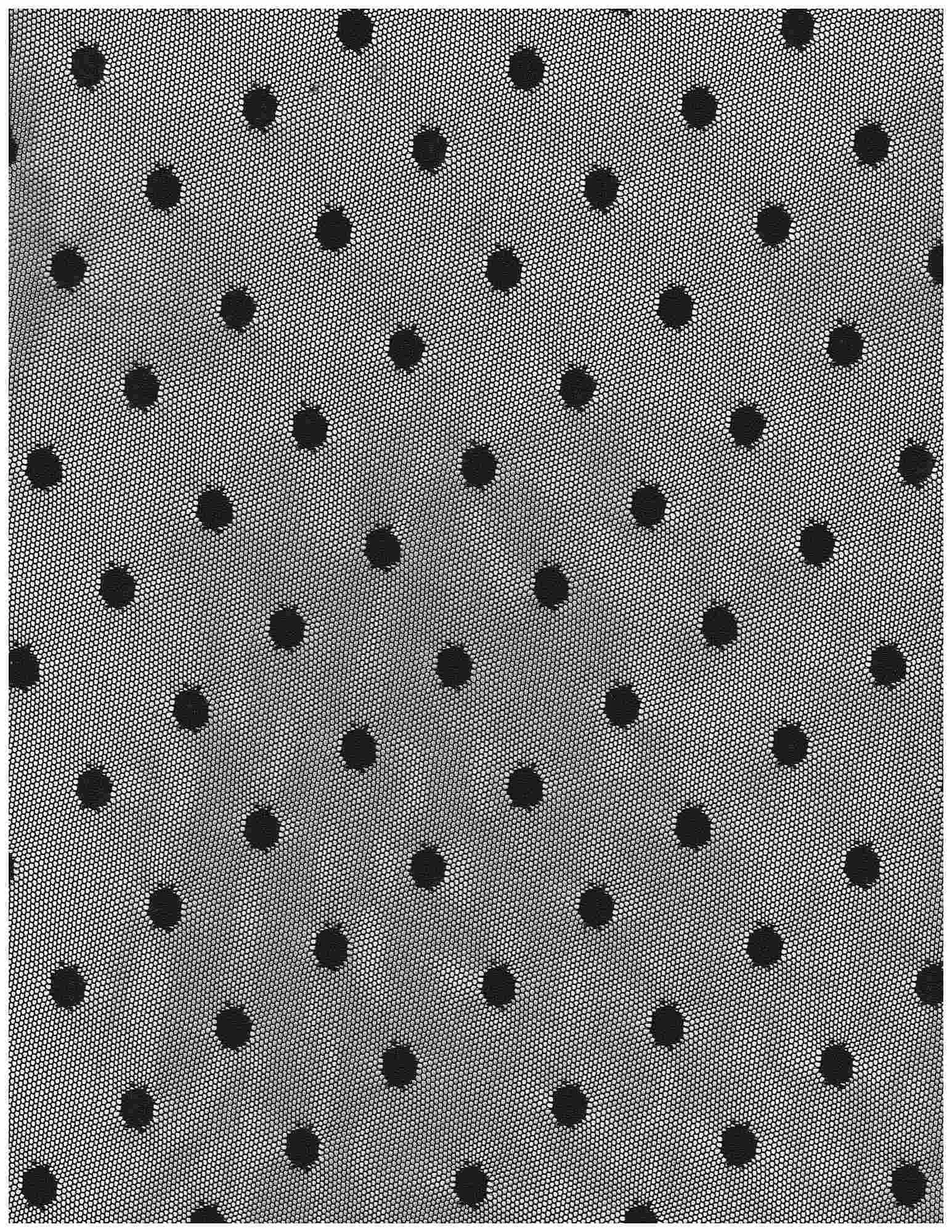 Polka Dot Mesh Stretch Fabric by the Yard Sheer 50GSM