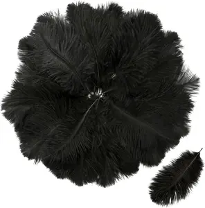 Pack of 30 Ostrich Feathers,15-20 cm Natural Ostrich Feathers,Black Feathers,Decorative Feathers,DIY Craft Decoration Accessories,for Wedding Decoration,Home Decor,Party Table