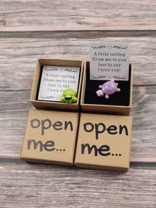 Funny Turtle Gift Box with Cute Greeting Card, Premium Socks Filler for Tortoise Lovers, Holiday Gift Set, Fantasy Theme, Resin Charm