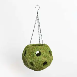 Fresh Green Moss Ball Hanging Round Basket Planter