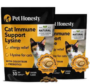 Pet Honesty Dual Texture Immune Support Lysine for Cats – Allergy Relief & Immune Health Supplement for Cats 2-Pack (60 Day Supply) – Supports Respiratory, Skin & Immune System with L-Lysine, Colostrum & Quercetin (Chicken Flavor)