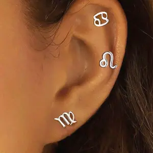 12 Constellation Symbol S925 Sterling Silver Earrings, Personalized Starry Sky Style Constellation Mark Earrings, Unique Designed Jewelry